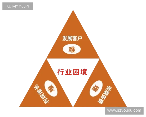 中赫持续依赖投资人支持与商业收入维持运营困境