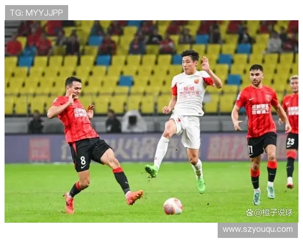 2025中超赛季终结海港荣膺冠军申花紧随其后法比奥斩获金靴亚泰梅州遗憾降级