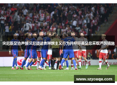 突尼斯足协声援汉尼拔谴责种族主义行为并呼吁英足总采取严厉措施