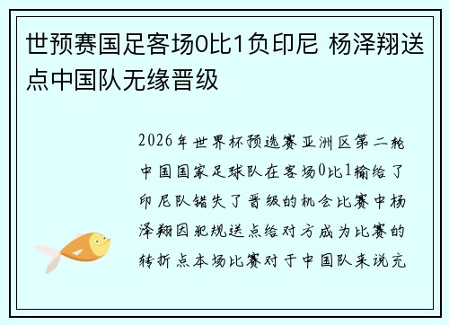 世预赛国足客场0比1负印尼 杨泽翔送点中国队无缘晋级